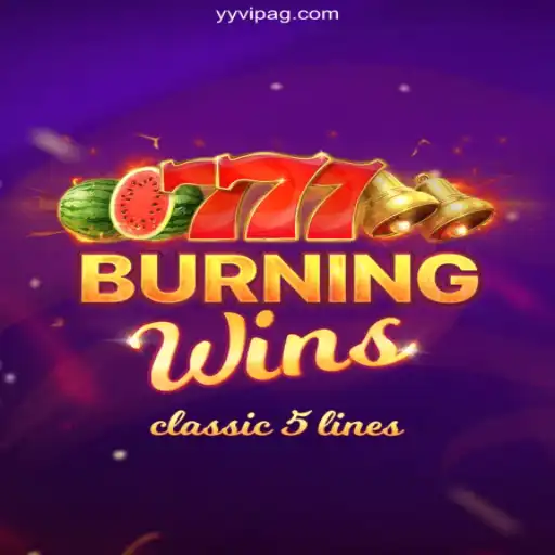 Dive Into the Exciting World of BurningWins: Brazil's Top Betting Platform Experience
