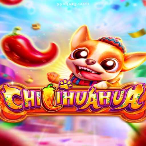Unveiling CHILIHUAHUA: The Exciting World of this Brazilian Betting Platform