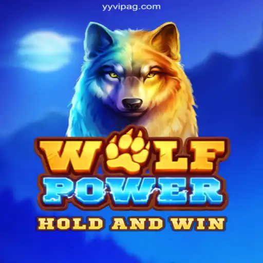Exploring the Excitement of WolfPower